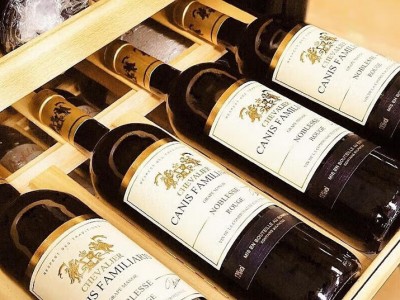 CANIS FAMILIARIS布多格 法国原瓶进